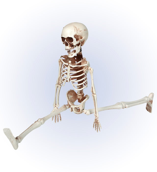 Bewegliches Skelett 40 cm als Halloween- und Fasnachtsdekoration