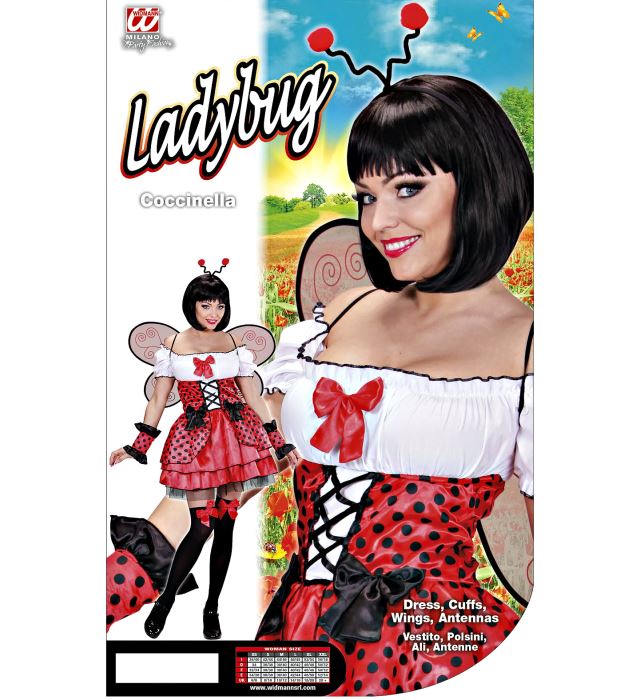 Marienkäfer-Kostüm bestehend aus rotem Kleid mit schwarzen Punkten, Flügeln, Armstulpen und Antennen