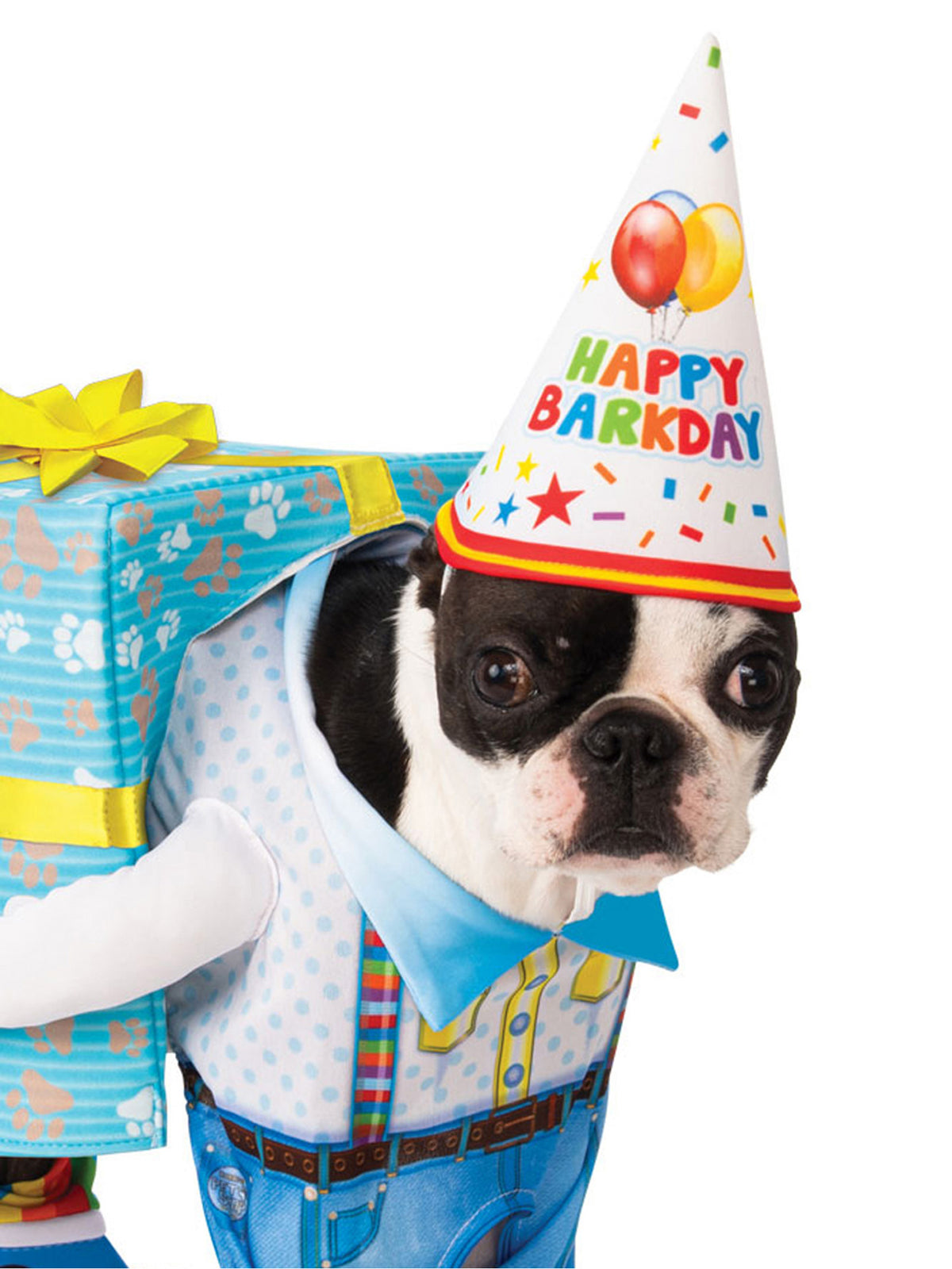 Rubies Birthday Present Pet Costumes