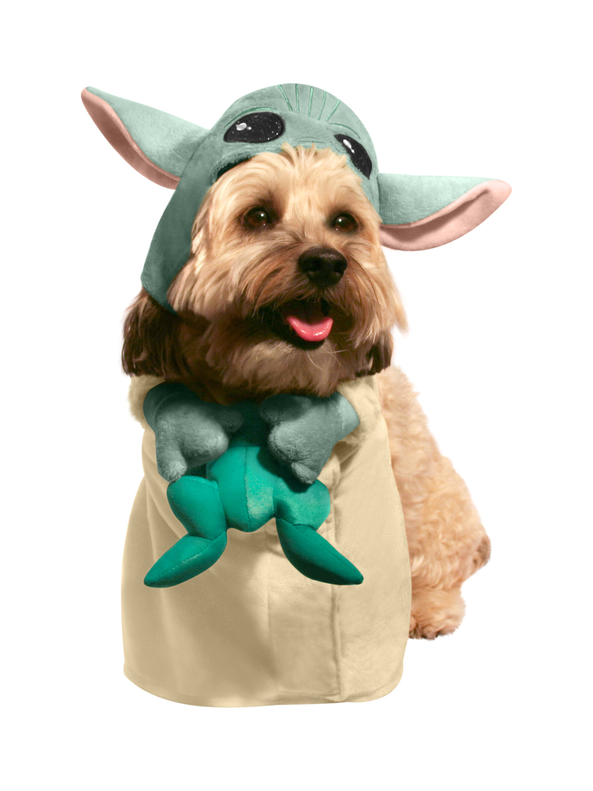 Rubies The Child Pet Costume With Frog Pet Costumes