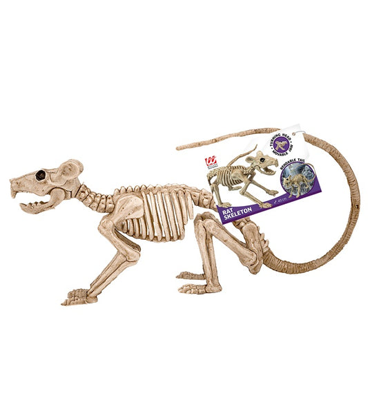 Ratten Skelett Dekofigur 40 cm auf weissem Hintergrund