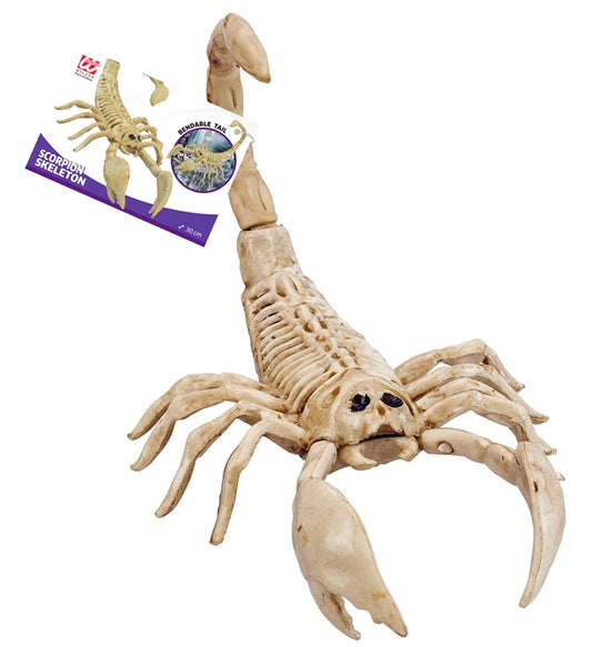 Skorpion Skelett Deko 30 cm für Halloween und Fasnacht