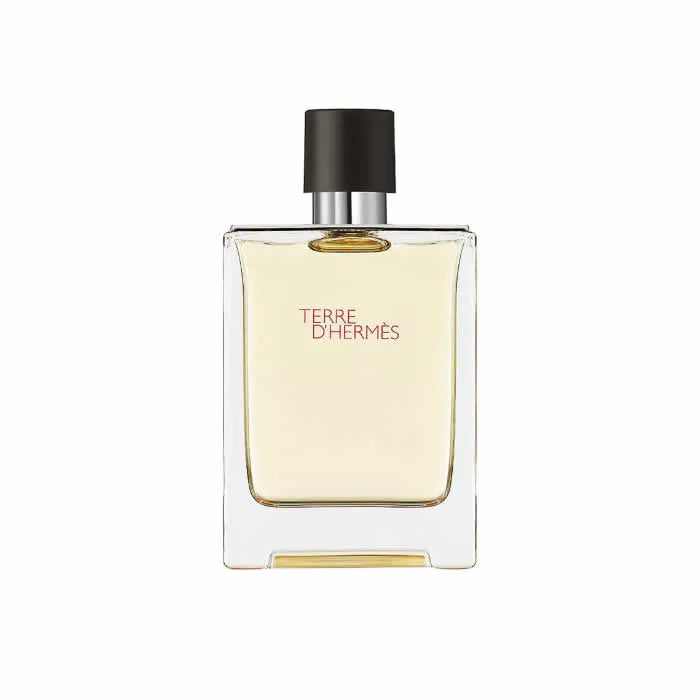 HERMÈS HERMÈS Terre D'Hermes Eau de Toilette Spray 100 ml Parfüm