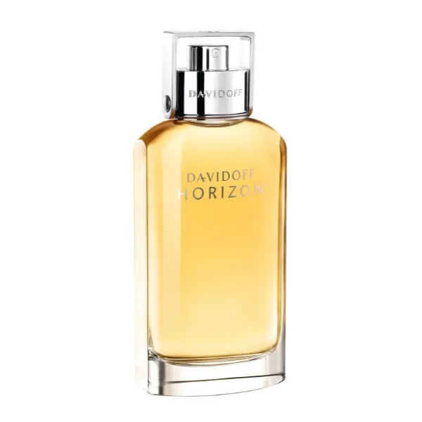 DAVIDOFF DAVIDOFF Horizon Eau de Toilette Spray 125 ml Herrenduft Parfüm