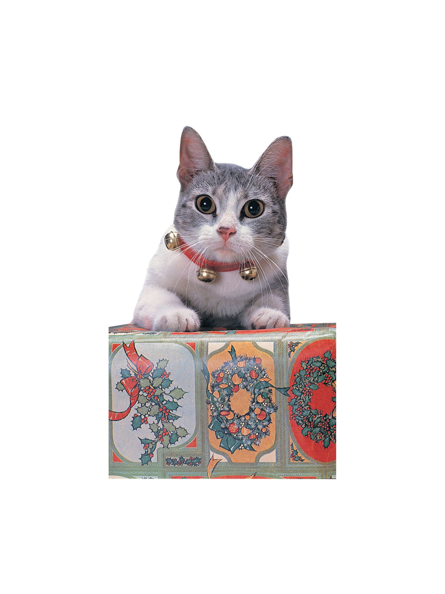 Rubies JINGLE CAT COLLAR XMAS