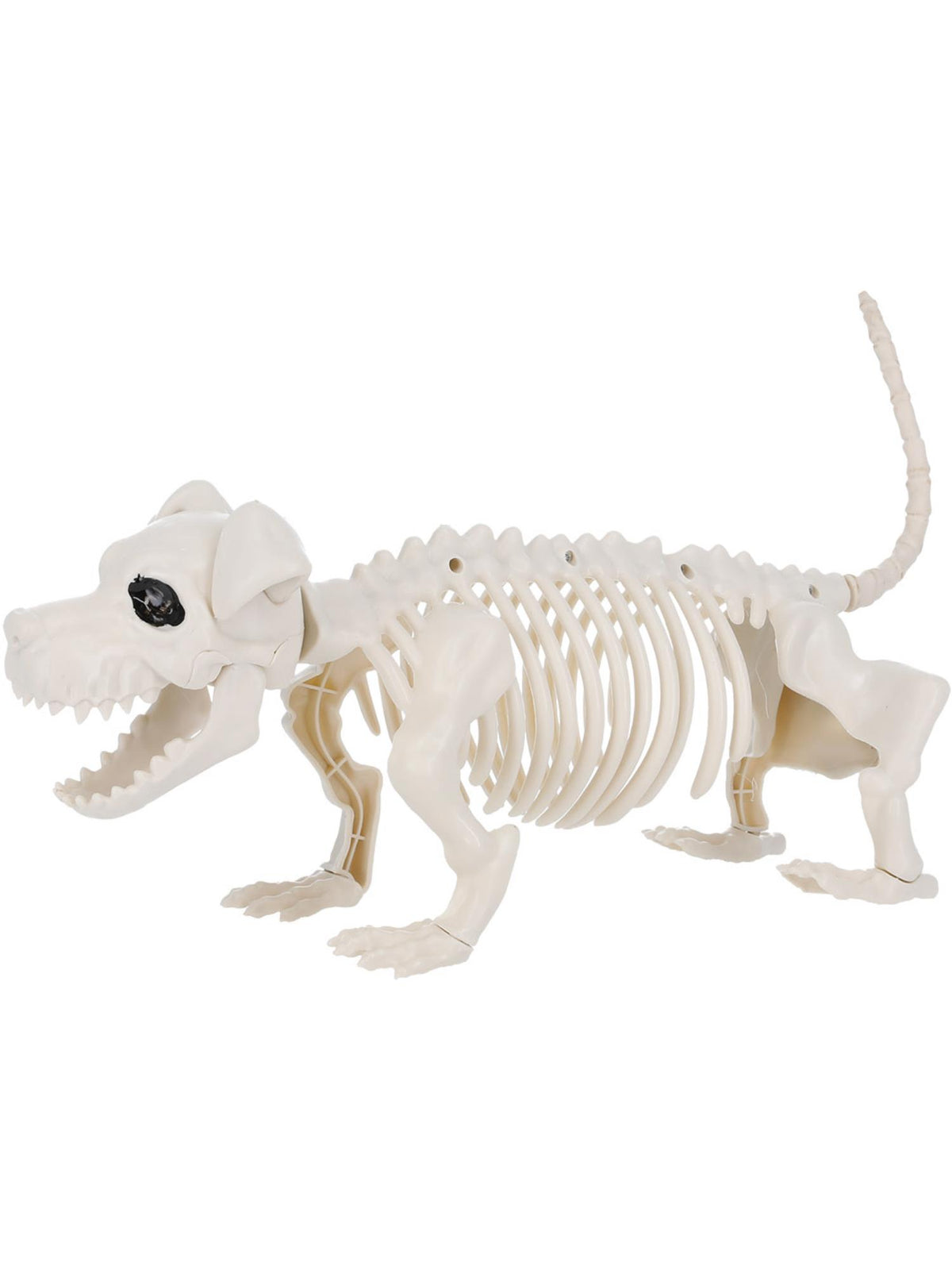 Smiffys ANIMAL Dog Skeleton Prop, Natural PG für Unisex