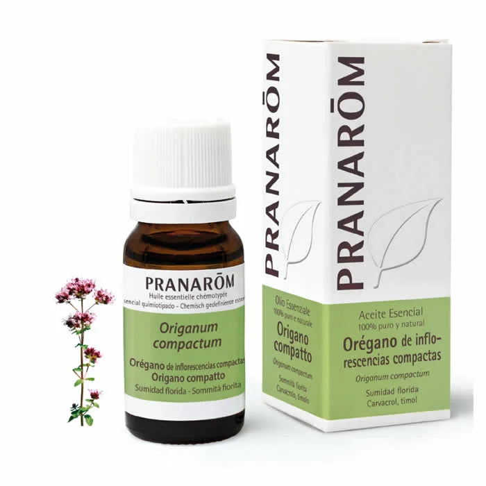 PRANARÔM PRANARÔM Oregano Compact Flowering Top ätherisches Öl 10 ml Kosmetik