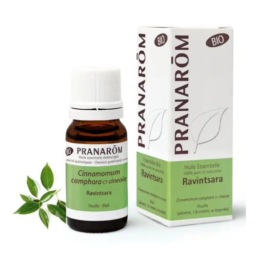 PRANARÔM PRANARÔM Essential Oil Ravintsara 10 ml ätherisches Öl Kosmetik