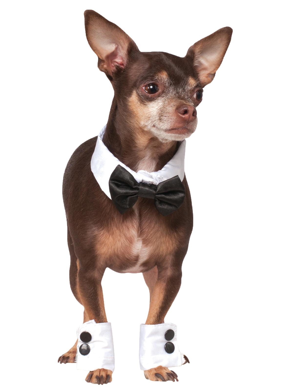 Rubies Pets Bowtie & Cuff Set Pet Costume Pet Costumes