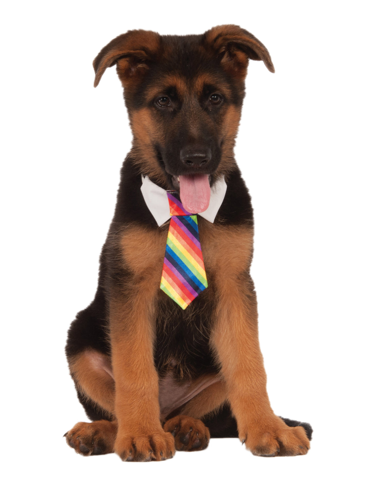 Rubies DICKY BOW Rainbow Tie Pets Pet Costumes