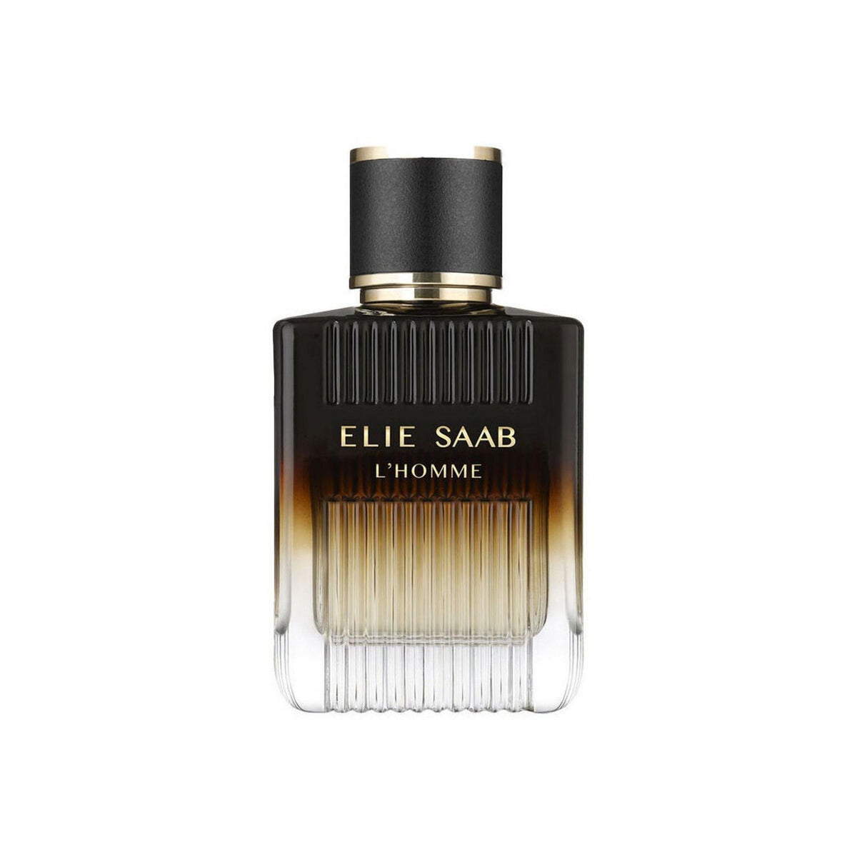 Elie Saab, L'Homme Intense, Eau de Parfum, Für Männer, 100 ml