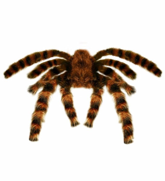 Riesige haarige Vogelspinne 75 cm biegsam als Fasnacht und Halloween Deko