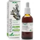 SORIA SORIA Extracto Fucus S XXI 50 ml Kosmetik-Extrakt
