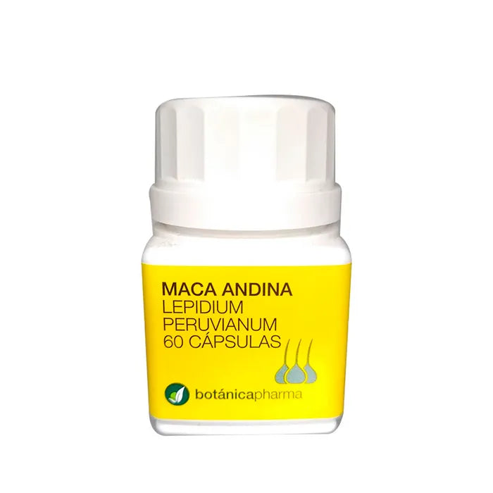 BOTÁNICAPHARMA BOTÁNICAPHARMA Anden Maca 500 mg 60 Kapseln Nahrungsergänzung Kosmetik