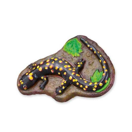 V7HCDEE88F18D93A720A9CA1439CD686E61R4078528P2