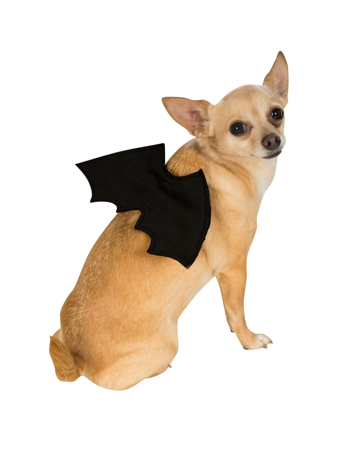 Rubies Bat Wings Pet Costume Pet Costumes