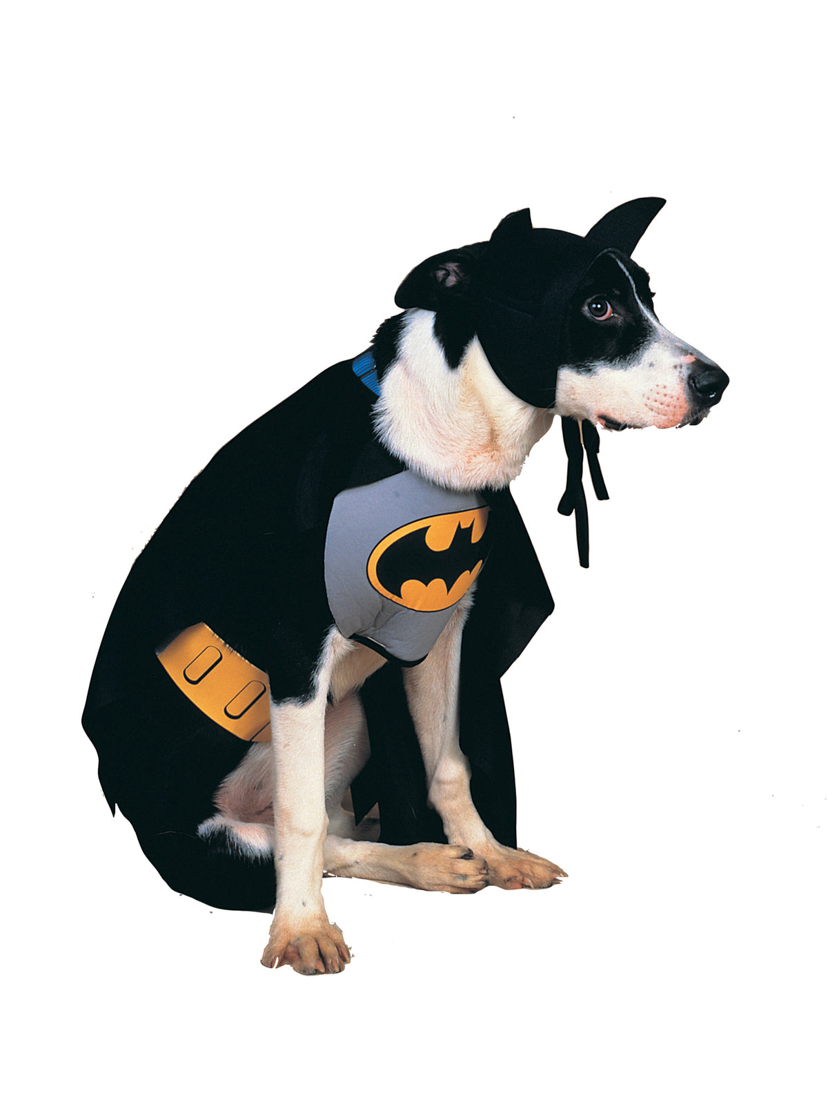 Rubies BATMAN CLASSIC PET COSTUME Pet Costumes