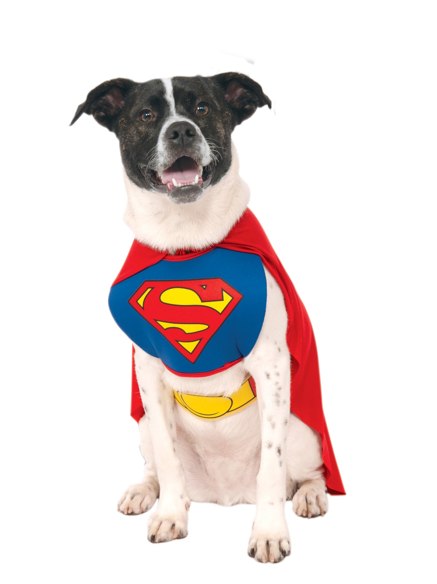 Rubies Superman-Kostüm für Haustiere mit Weste und Umhang
