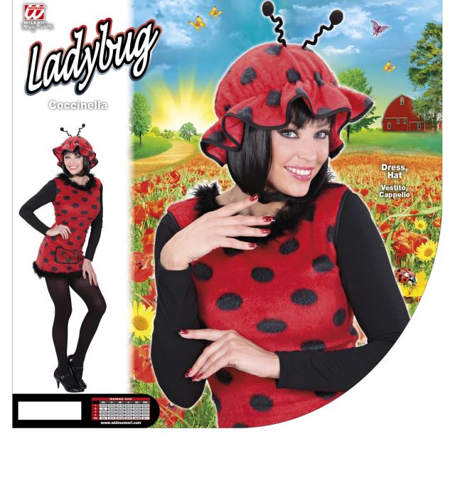 Marienkäfer-Kostüm bestehend aus rotem Kleid mit schwarzen Punkten und passendem Hut