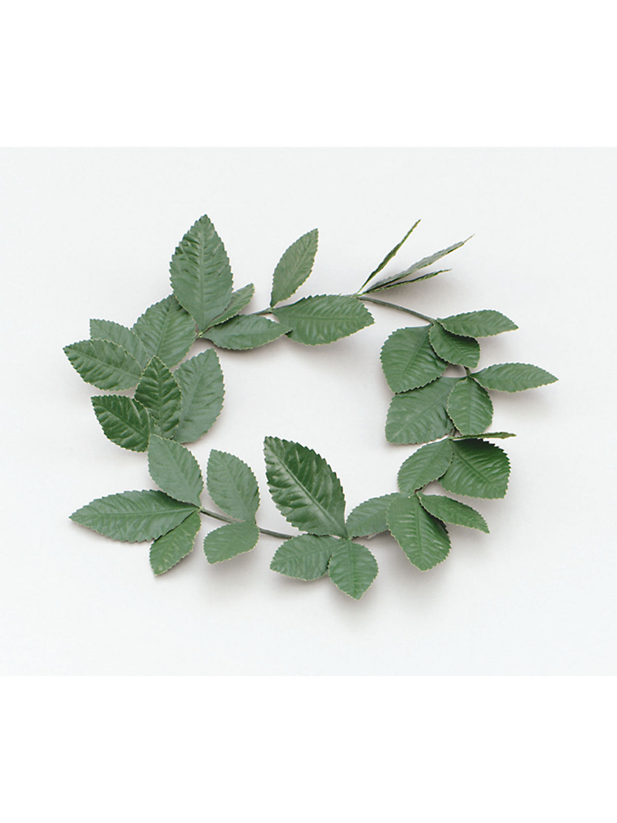 Rubies Rubies Green Laurel Leaf Headband Headpieces and Headbands