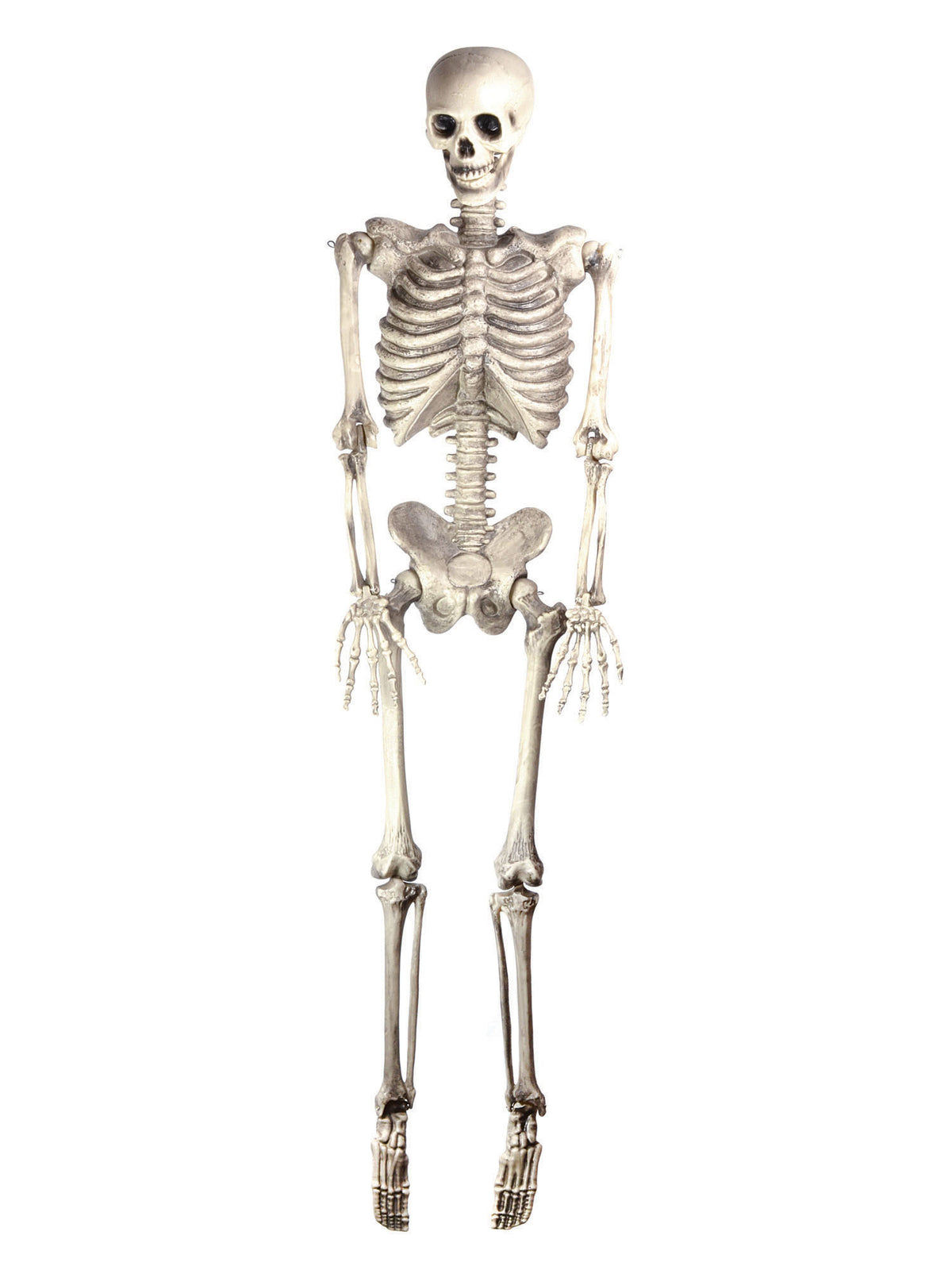 Rubies Rubies Skeleton 60In Hanging Props