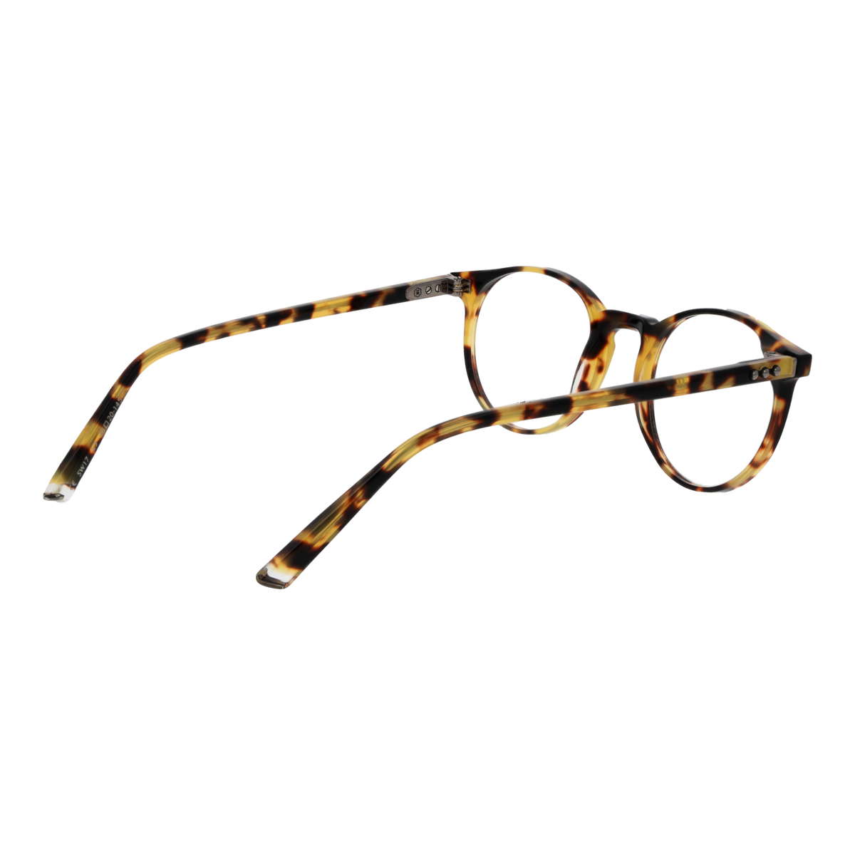 Taylor Morris SW17 48C3 Brille von Taylor Morris Eyewear – Seitenansicht