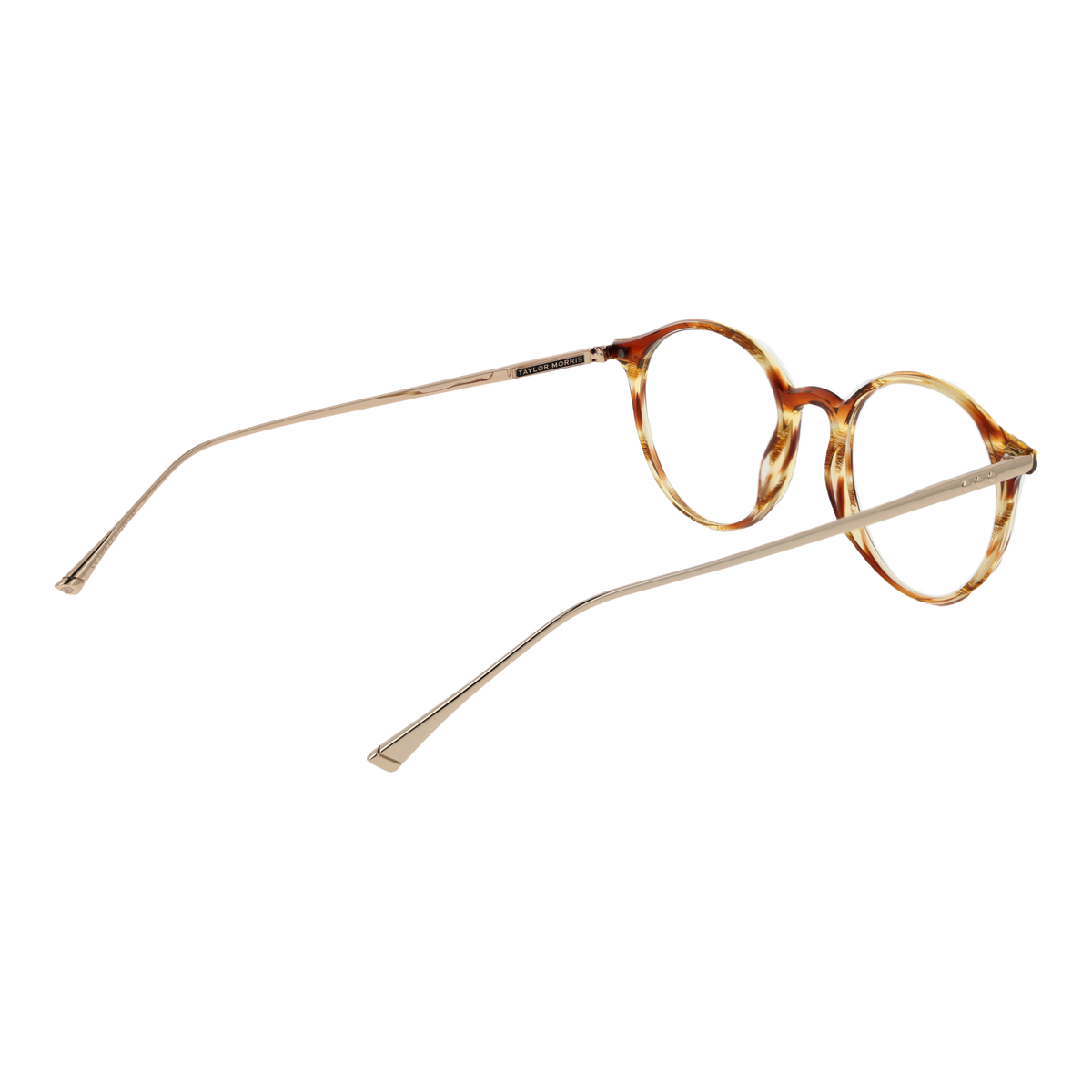 TAYLOR MORRIS EYEWEAR Taylor Morris SW4 49C2 Brille – Seitenansicht