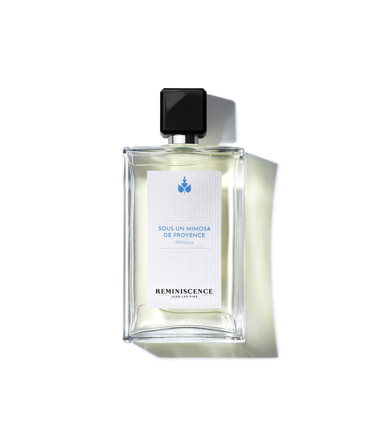 Reminiscence Sous Un Mimosa De Provence - Eau De Toilette Intense 50ml