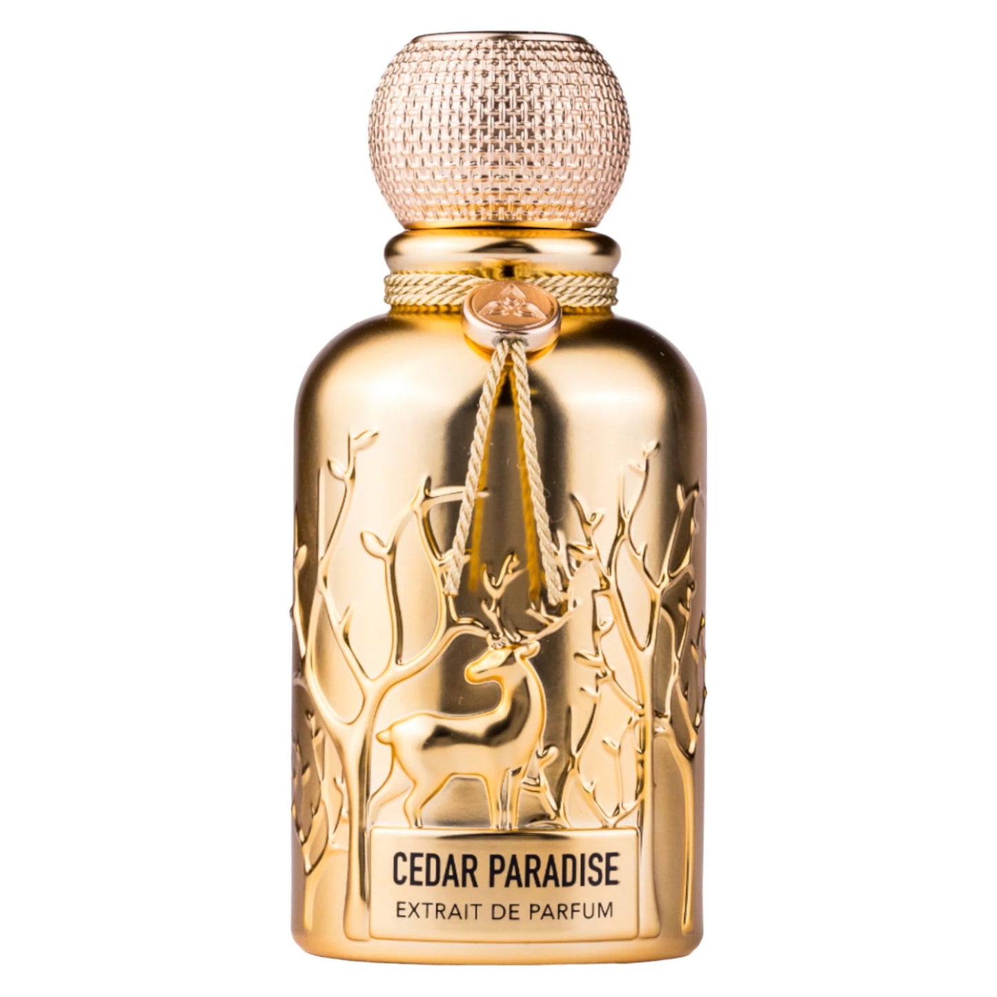 Auraa Desire Auraa Desire, Cedar Paradise, Parfumextrakt, Für Männer, 100 ml Regular