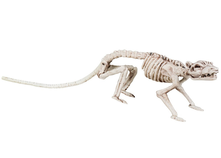 Rattenskelett Halloween Dekoration – Boland 35cm Weiß Resin - Fasnacht24.ch
