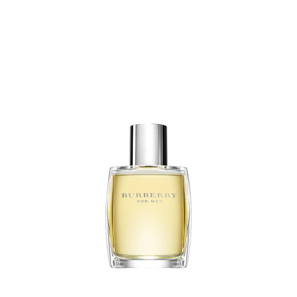 Burberry For Men Eau de Toilette 100 ml für Männer