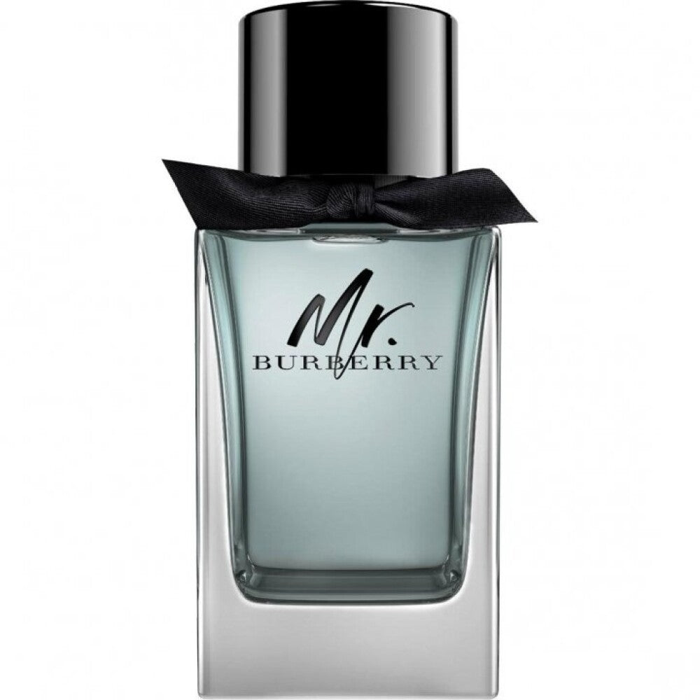 Burberry Burberry, Mr. Burberry, Eau de Toilette, Für Männer, 100 ml Regular
