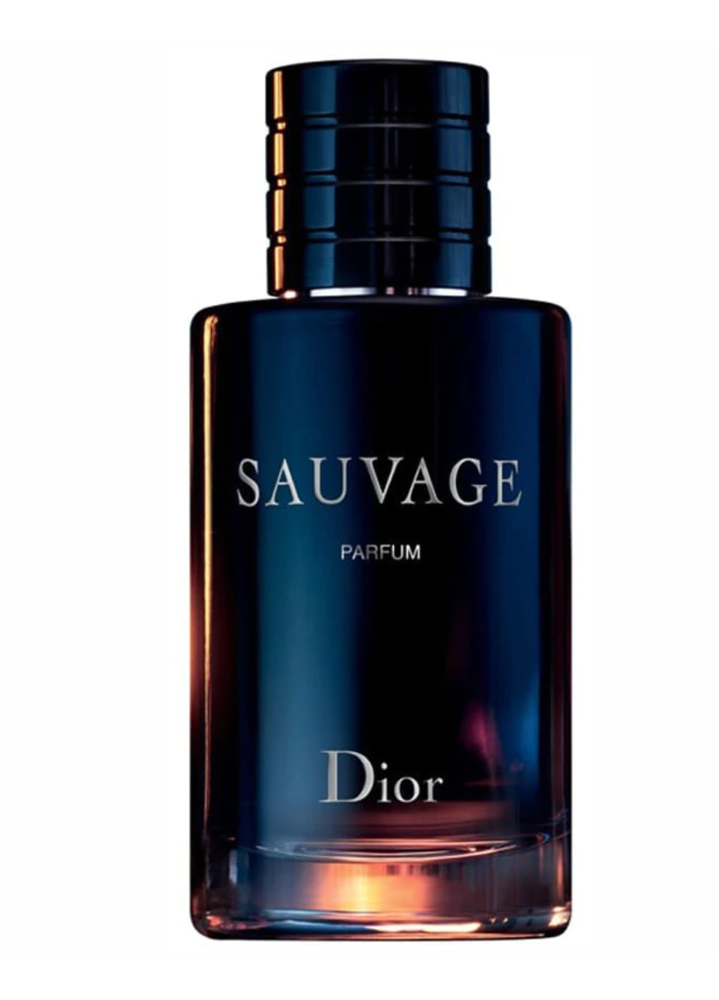 Christian Dior Christian Dior, Parfum Sauvage, Parfüm, Für Männer, 100 ml Regular