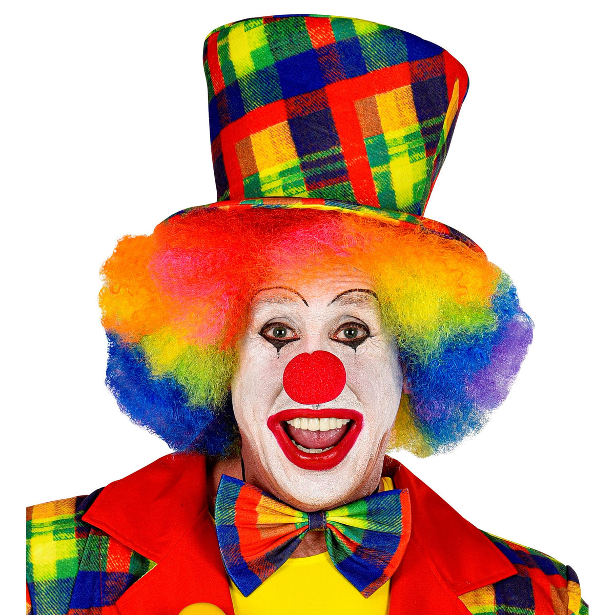 "CLOWN" (Fliege) – Ansicht 5