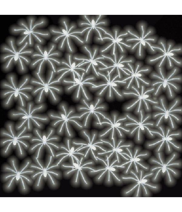 Glow in the Dark Spinnen Halloween Deko – Fasnacht24.ch 24 Stück 5x5cm - Fasnacht24.ch