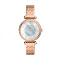 FOSSIL BQ3820 Armbanduhr 36 mm ansicht-2