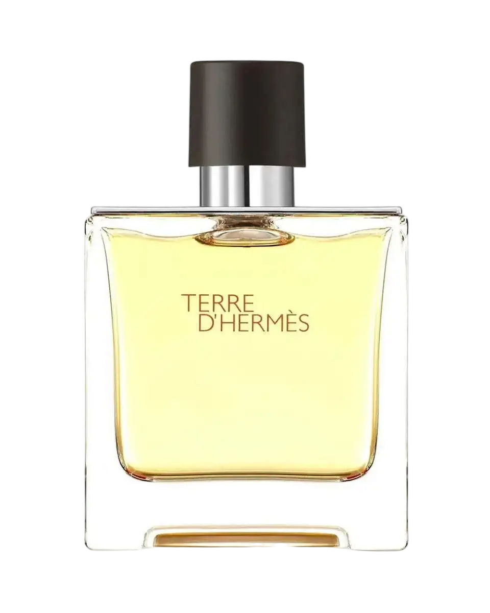 Hermes, Terre d'Hermes, Eau de Parfum, Für Männer, 75 ml *Tester