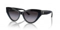 JIMMY CHOO JC 5004 JC 5004_504587_55 Sonnenbrille ansicht-3