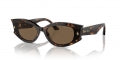 JIMMY CHOO JC 5015U JC 5015U_500273_62 Sonnenbrille ansicht-3