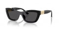 JIMMY CHOO JC 5030U JC 5030U_500087_54 Sonnenbrille ansicht-3