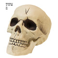 "KUNSTSTOFF TOTENKOPF MIT BEWEGLICHEM GEBISS" 21 cm – Vorderansicht