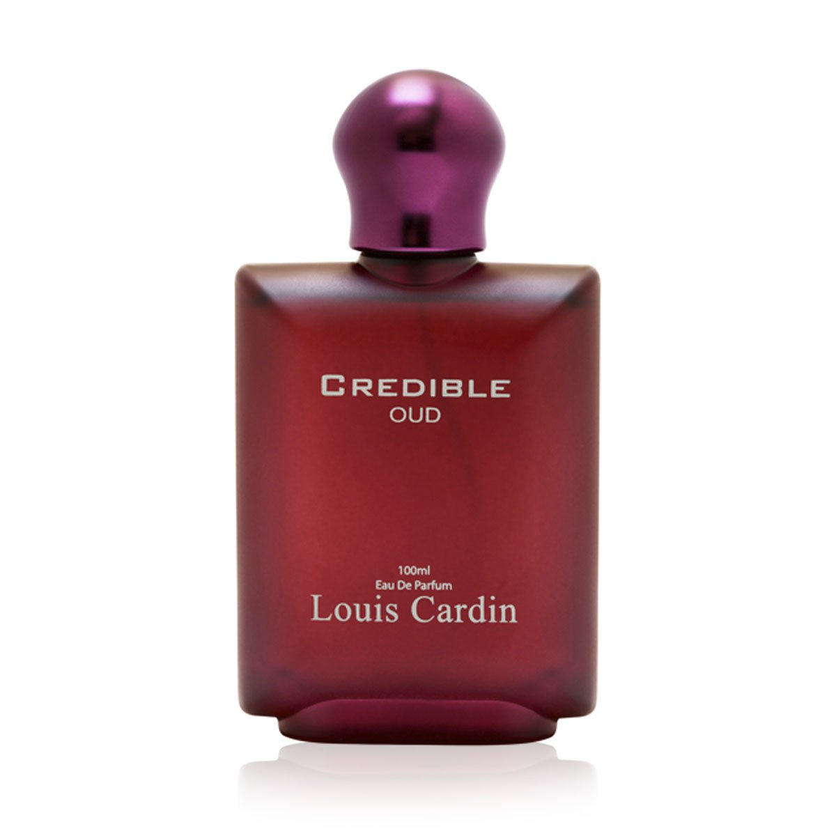 Louis Cardin Credible Oud Eau de Parfum 100 ml