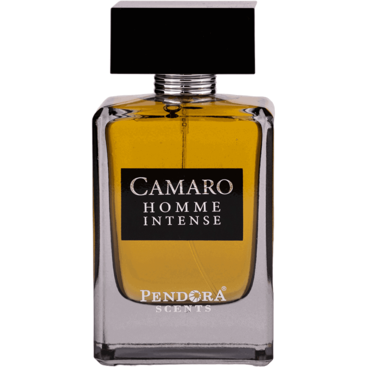 Pendora Scents, Camaro Homme Intense, Eau de Parfum, Für Männer, 100 ml