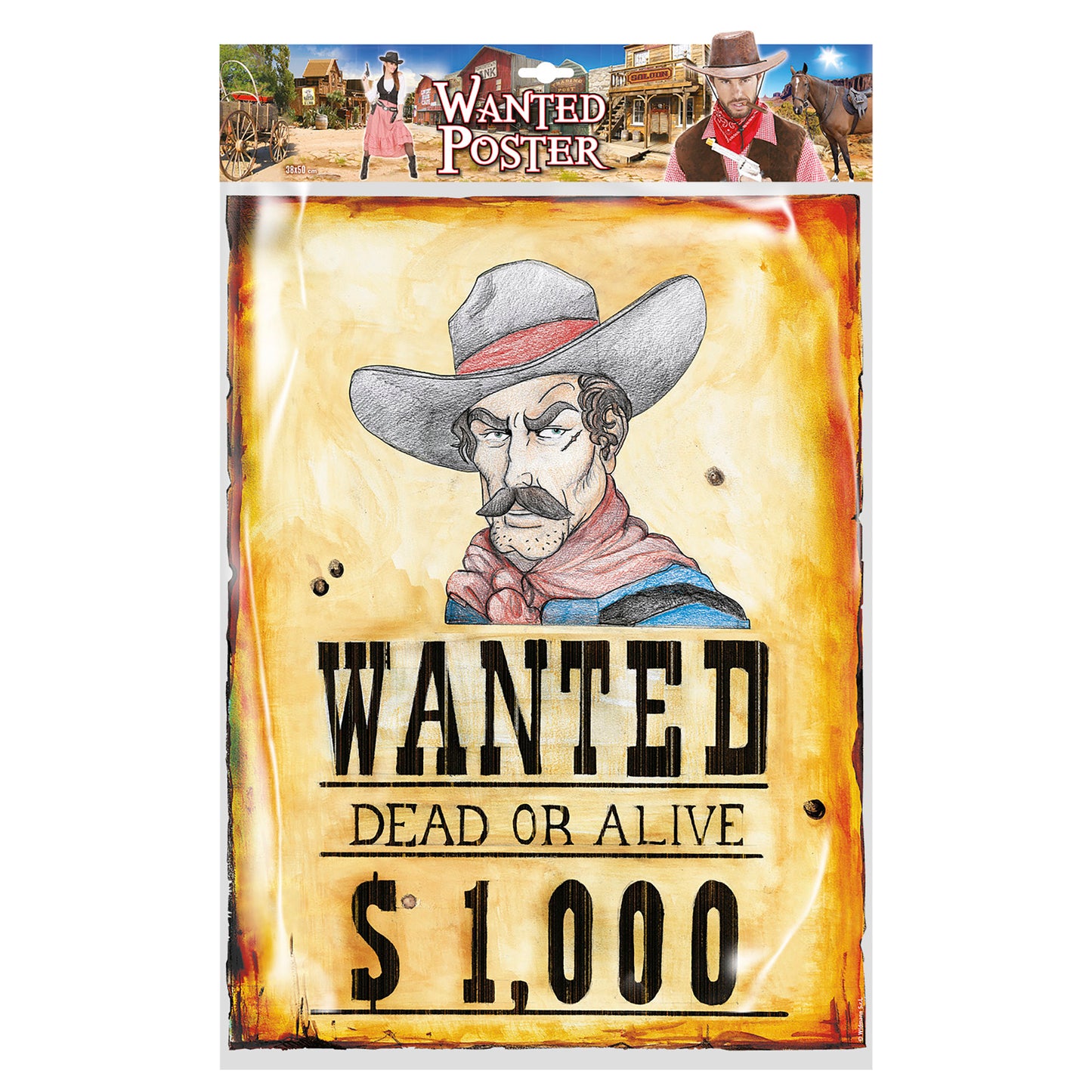 "POSTER WANTED" 38x50 cm – Detailansicht