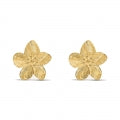 STROILI JEWELS 1694692 Schmuck ansicht-2