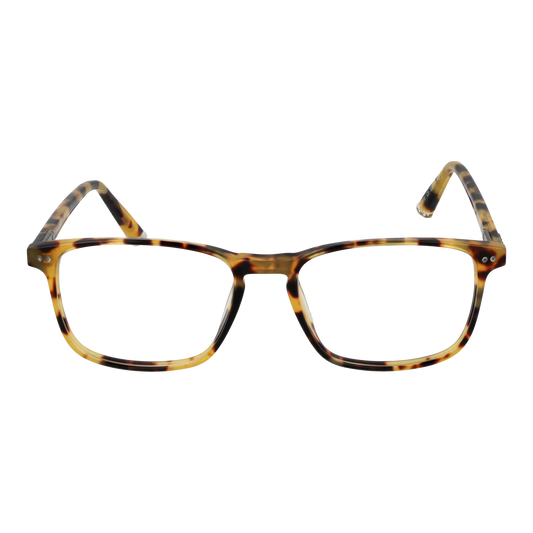 TAYLOR MORRIS EYEWEAR SW16 52C3 Sonnenbrille