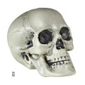 "TOTENKOPF AUS PLASTIK" 21 cm – Vorderansicht
