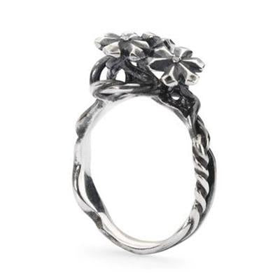 TROLLBEADS TAGRI-00304 Schmuck