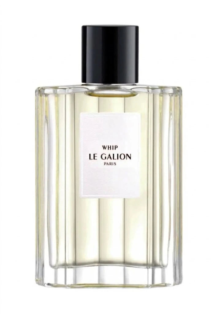 LE GALION WHIP EDP 100 ML