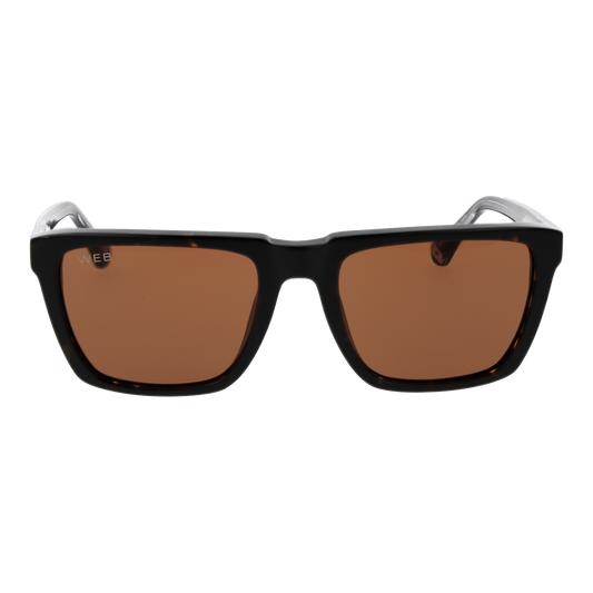 WEB EYEWEAR WE0379 5556E Sonnenbrille